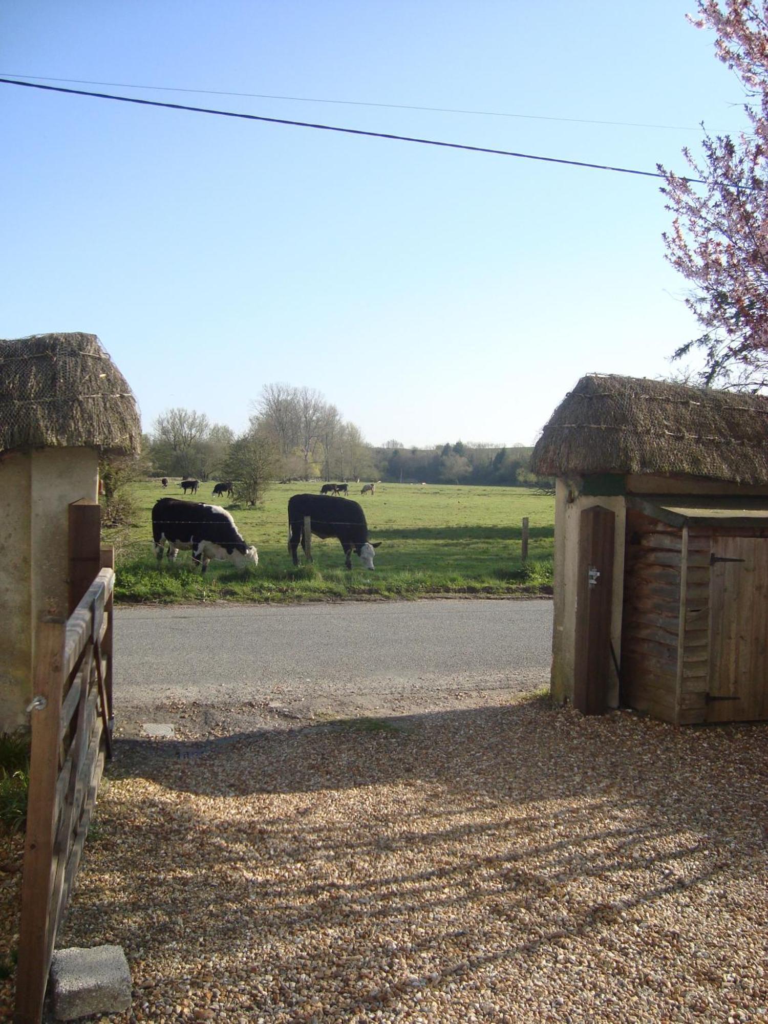 Stonehenge Village Cottage: Charming 3-Bedroom Near Historic Sites Pewsey Exterior photo